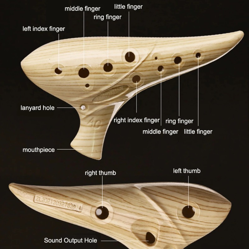 12 Hole Ocarina for Beginners  - Musical Instrument Easy To Learn avaliação e preço