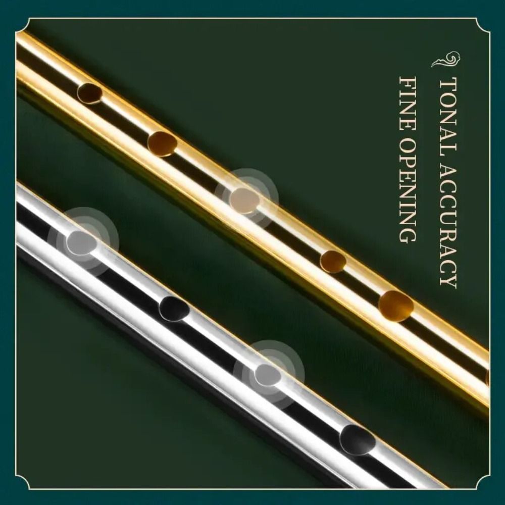 6 Holes C/D Key Irish Whistle  - Musical Instrument Easy To Learn avaliação e preço
